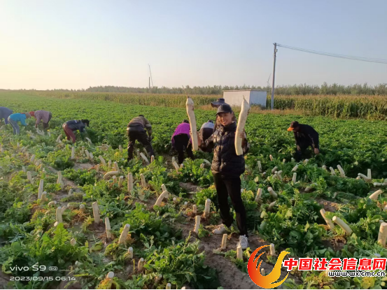 王玉德简报486 王玉德简报486