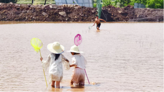 1746775071597.jpg 1746775071597.jpg