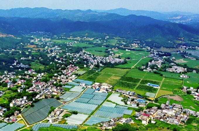 精准务实培育壮大乡村产业