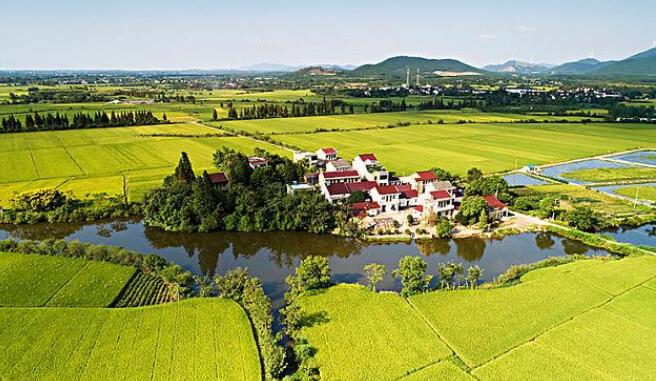 中国乡村振兴如何破局